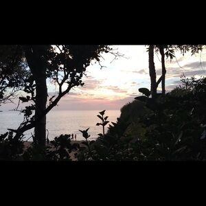 ✨Meet Your Posher✨